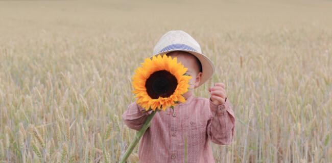 Lapsi viljapellossa auringonkukan kanssa.