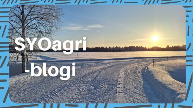 SYOagri blogi maatilasta osakeyhtiö talvinen maaseutu.